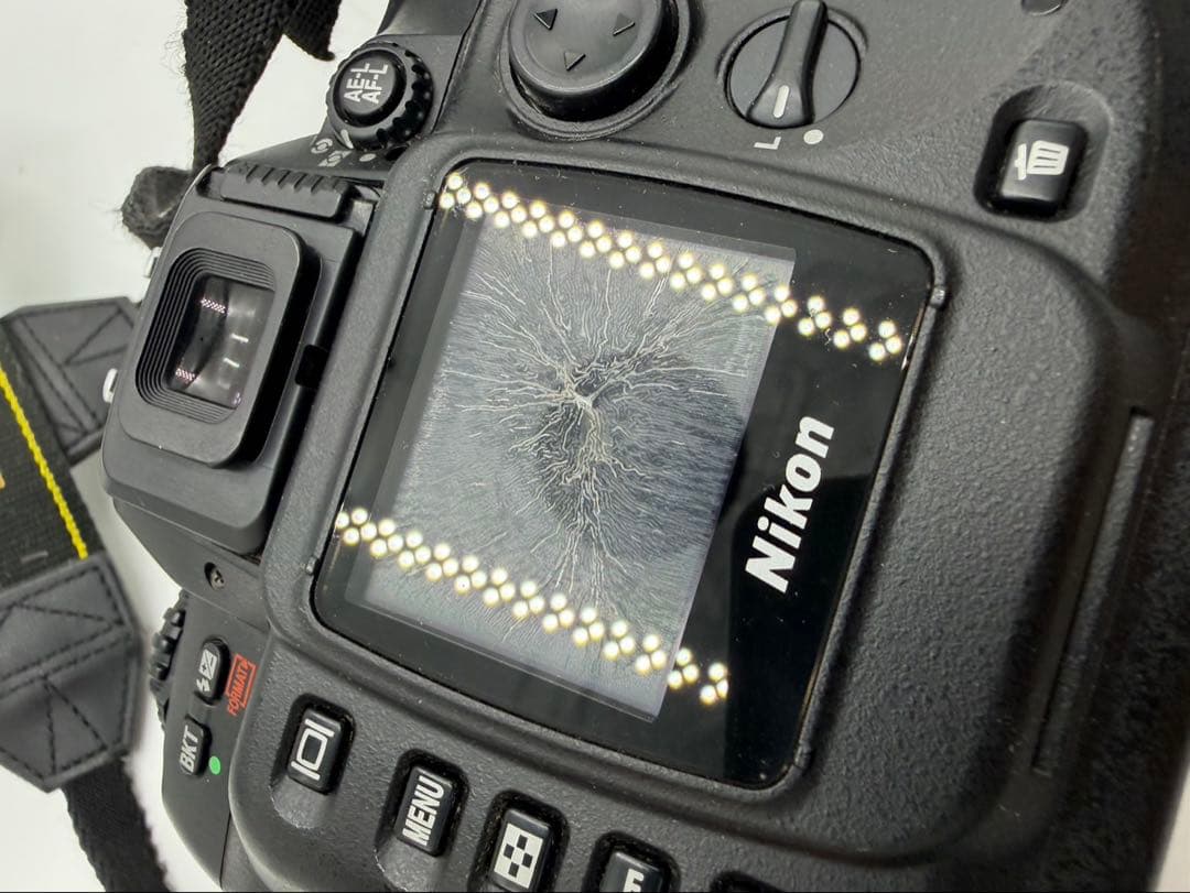 ニコン Nikon D100 デジタル1眼カメラ